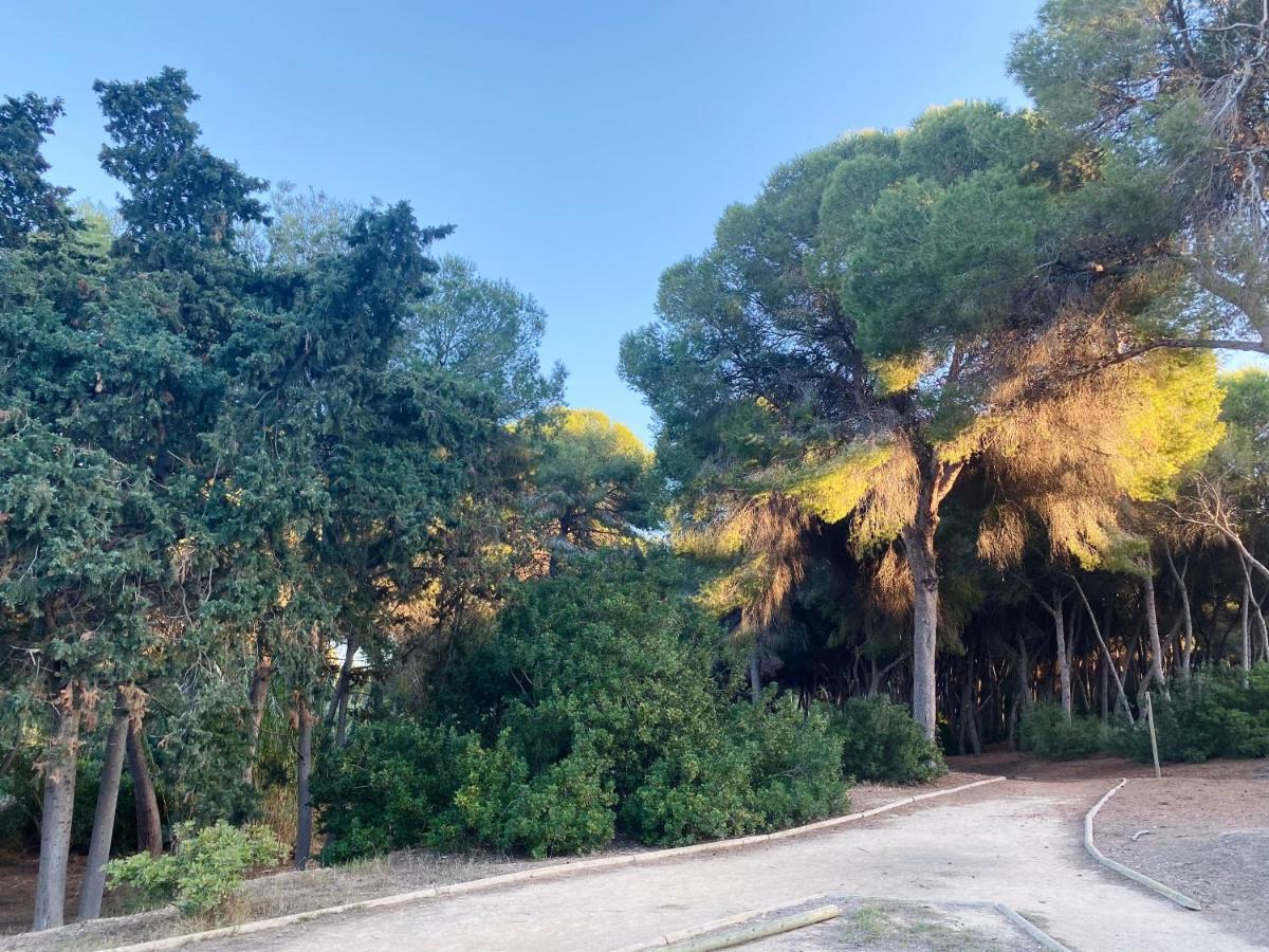 Apartamento Hermosa Glea Campoamor Exterior foto